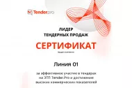 О вручении сертификата «Лидер тендерных продаж» 2025 в Н.Челнах 